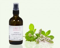 Menthe poivrée Feuilles