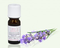 Lavande vraie fleur2