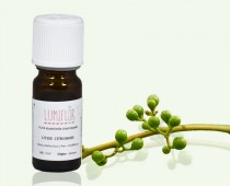 Litsée fruit2