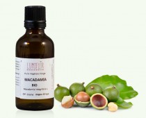 Macadamia