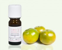 Mandarinier feuillage et fruit