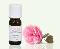 Rosier de Damas