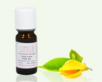 Ylang Ylang