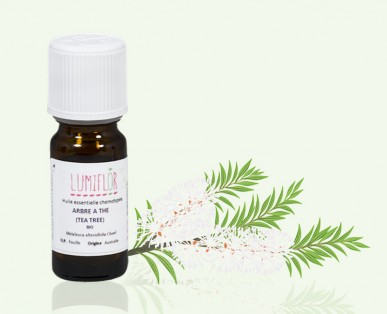 Huile essentielle de Tea Tree ou arbre a the en flacon de 10 ou 30 ml