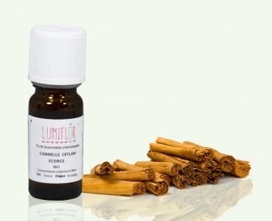 Cannelle de Ceylan, écorce (Cinnamomum verum) huile essentielle