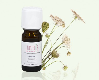 Carotte Fleur