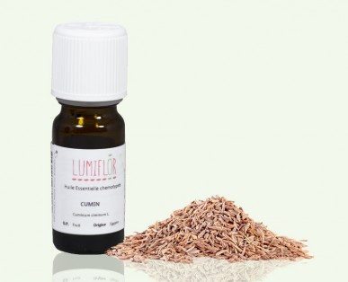 Cumin semences