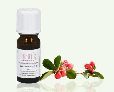 Huile essentielle Gaulthérie odorante Bio HECT 10ml achat vente