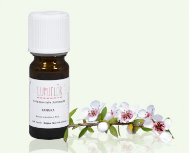 Kanuka Feuille