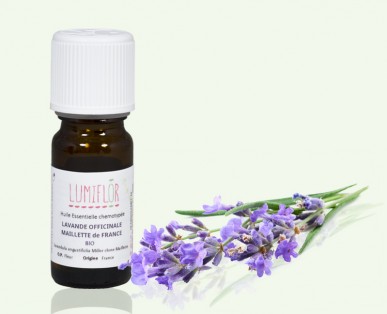 Lavande vraie fleur2