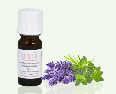 Lavandin Abrial Fleur