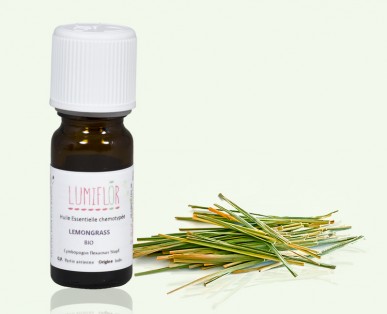 Lemongrass plantation