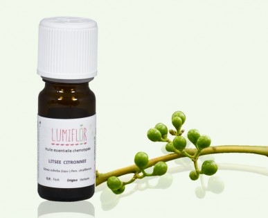 Litsée fruit2