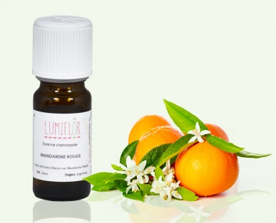 Mandarine fruits 