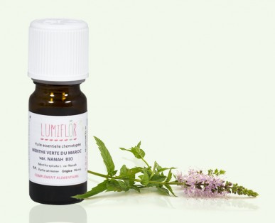 Menthe verte sommité fleurie