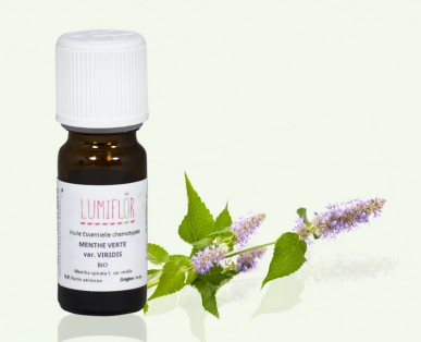 Menthe verte Fleur