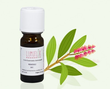 Huile essentielle de Niaouli bio 10ml différentes propriété a découvrir