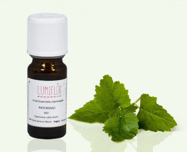 Patchouli en fleur