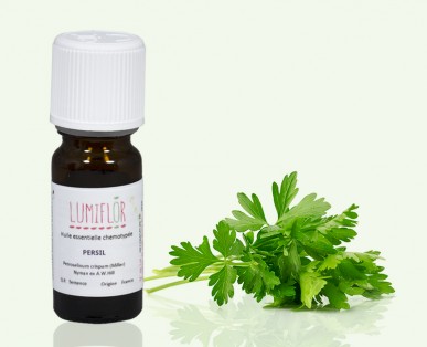 Persil plante