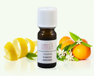 Synergie-universel