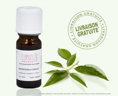 Ravintsara Feuille Frais de Port