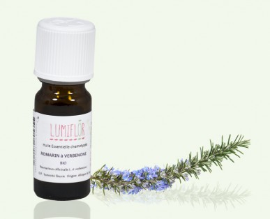 Romarin Sommité fleurie