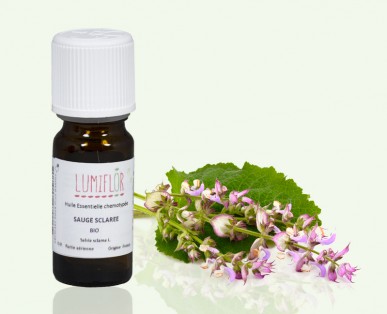 Huile essentielle Sauge Sclarée Bio HECT Salvia sclarea