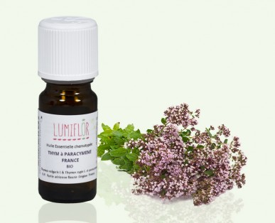 Thym Plante