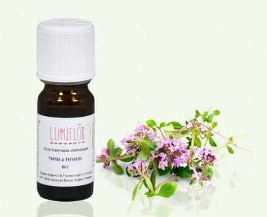 thym parterre